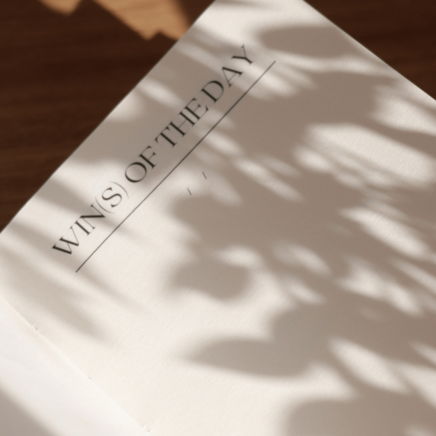 One Win at a Time Notebook | The Power of Small Wins - Inwords